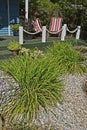 Decortive grass in a urban garden