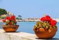 Decortive pots with flowers on the waterfront on Elba Island Royalty Free Stock Photo