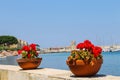 Decortive pots with flowers on the waterfront on Elba Island Royalty Free Stock Photo
