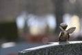 A decotive angel sculpture on a gravestone