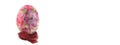 Decoupage Easter egg isolated banner Royalty Free Stock Photo