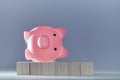 Decrease in income. Financial crisis. Bank Default and bankruptcy. Turn over piggy bank on wooden cubes
