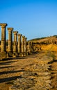 Decumanus Maximus, Gordian Palace, Tingis Gate, Volubilis