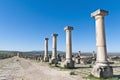 Decumanus Maximus street at Volubilis, Morocoo Royalty Free Stock Photo