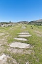 Decumanus Maximus street at Volubilis, Morocoo Royalty Free Stock Photo