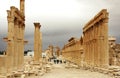 Decumanus of Palmyra Royalty Free Stock Photo