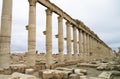The decumanus at Palmyra, Syria Royalty Free Stock Photo