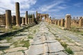 Decumanus street in Timgad Royalty Free Stock Photo