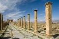 Decumanus street in Timgad Royalty Free Stock Photo