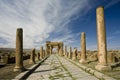 Decumanus street in Timgad Royalty Free Stock Photo