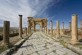 Decumanus street in Timgad Royalty Free Stock Photo