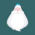 Ded Moroz- Russian Santa Claus. Santa of Russia -father Frost. C