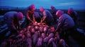 Dedicated Agronomist Conducts Thorough Examination of Sugar Beet Roots at Mesmerizing Sunset