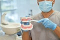 Dedicated dentist demonstrating teeth-brushing on fake teeth