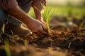 Dedicated Farmer inspecting soil health plant. Generate Ai