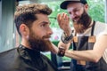 Dedicated hairstylist using scissors and comb