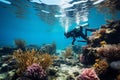 Dedicated marine scientists restore damaged coral reef, preserving ocean ecosystems