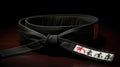 dedication karate black belt Royalty Free Stock Photo