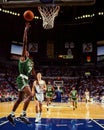 Dee Brown, Boston Celtics