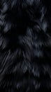 Deep black luxurious fur texture. Fur of black cat, puma, panther, fox, arctic fox, dog, bear. Animal skin design