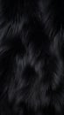Deep black luxurious fur texture. Fur of black cat, puma, panther, fox, arctic fox, dog, bear, wolf. Animal skin