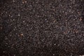 Deep Black Sunflower Seed Background Texture Royalty Free Stock Photo