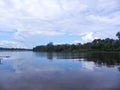 A deep blu sky over an amazon lake Royalty Free Stock Photo