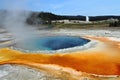 Yellowstone National Park, Crested Pool with Beehive Geyser erupting in the Background, Upper Geyser Basin, Wyoming, USA