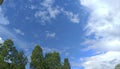 Deep blue clowdy sky with trees