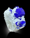 deep blue lazurite Mineral specimen from badakhshan afghanistan Royalty Free Stock Photo