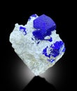 deep blue lazurite Mineral specimen from badakhshan afghanistan Royalty Free Stock Photo