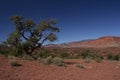 Deep blue and red in Capital Reef Royalty Free Stock Photo