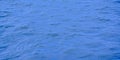 Deep blue rippling water surface Royalty Free Stock Photo