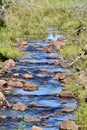 Cool Blue Water Gently Cascading Down a Brook Royalty Free Stock Photo