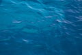 Deep blue water background in blue - empty and nobody - just waves. Royalty Free Stock Photo