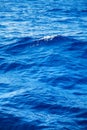 Deep blue water background in blue. Royalty Free Stock Photo