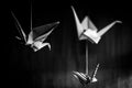 Deep bokeh of three origami swans hanging from the roof with a wooden background in black and white Royalty Free Stock Photo