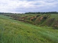 A deep clay ravine formed by erosion by a water stream. Soil erosion