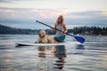 Deep Cove Paddle with Dog Royalty Free Stock Photo