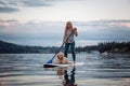 Deep Cove Paddle with Dog Royalty Free Stock Photo