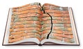 Deep crack in old brick wall - 3D render of an opened photo book