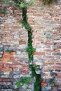 Deep crack in an old damaged brick wall Royalty Free Stock Photo
