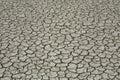 Drought dry land cracking land. Royalty Free Stock Photo