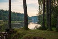 deep dark forest lake with reflections of trees and green foliage Royalty Free Stock Photo