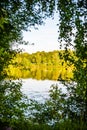 deep dark forest lake with reflections of trees and green foliage Royalty Free Stock Photo