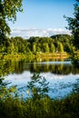 deep dark forest lake with reflections of trees and green foliage Royalty Free Stock Photo