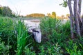 deep dark forest lake with reflections of trees and green foliage Royalty Free Stock Photo