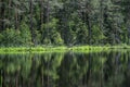 deep dark forest lake with reflections of trees and green foliage Royalty Free Stock Photo