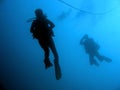 blue sea scuba divers silhouttes philippines