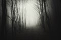 Deep dark woods with mysterious fog at night Royalty Free Stock Photo